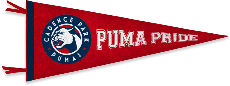 Cadence Park School Flag