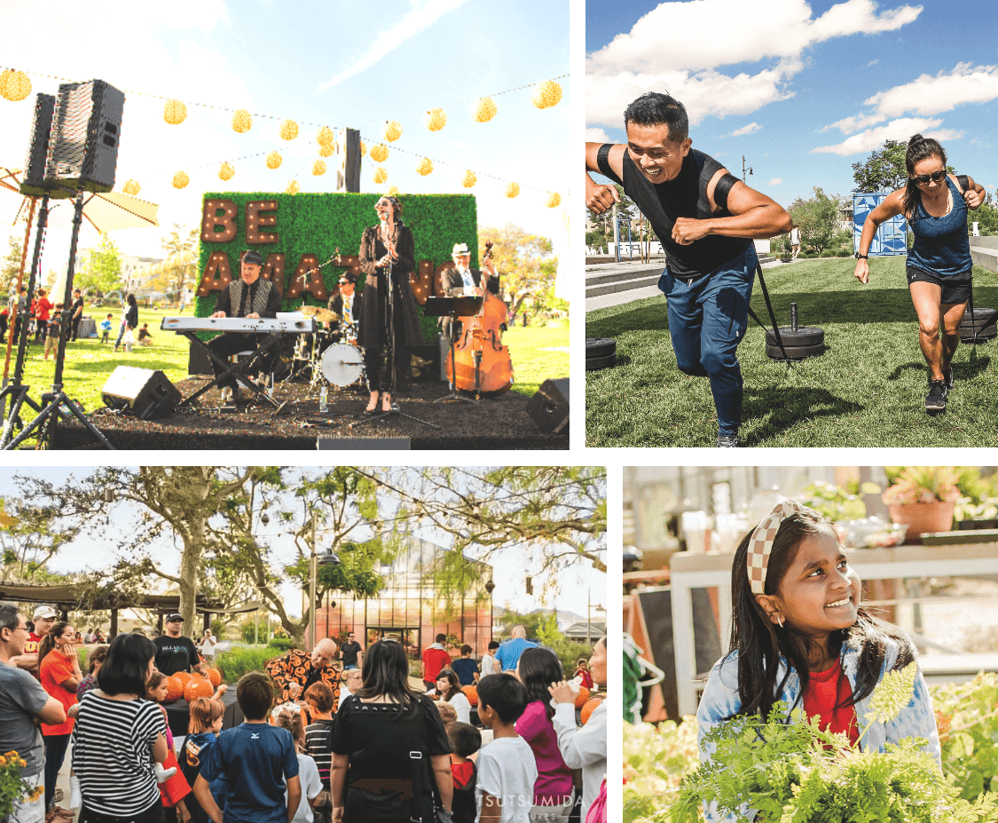 Clubs and Activities