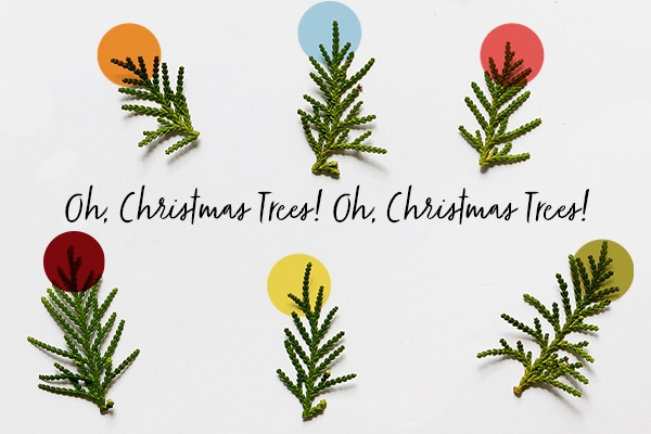 Holiday Tree Lot: Nov 26 - Dec 19